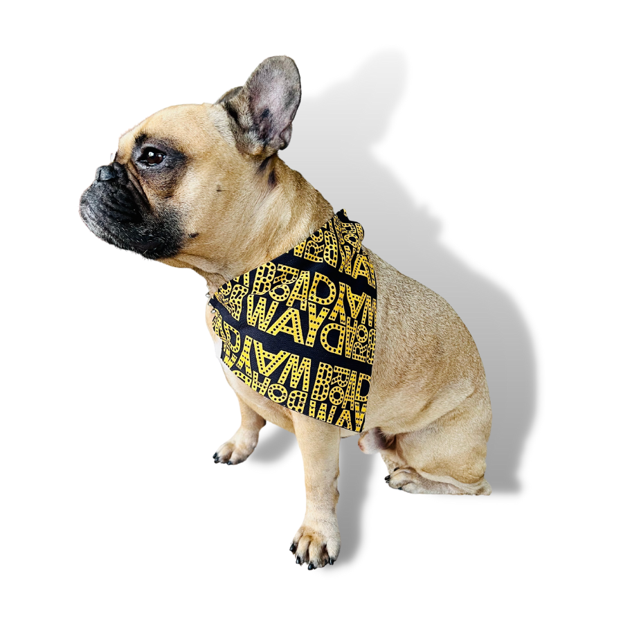 Gold Broadway Doggy Bandana