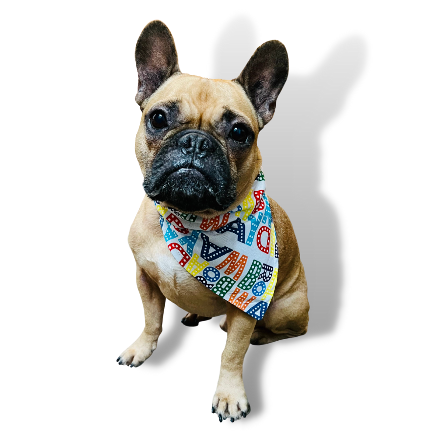 White Broadway Doggy Bandanae